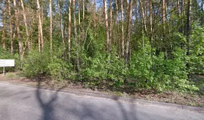 Автотовари