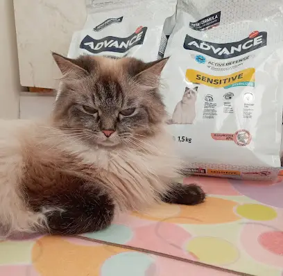 ДЕТТА КОМПАНІЯ