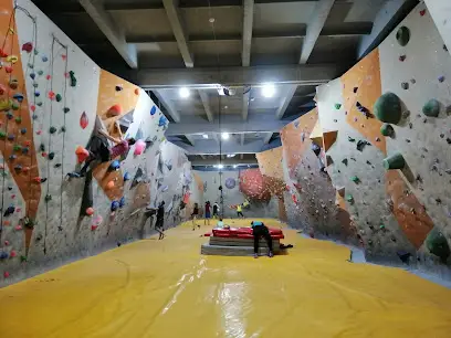 Скеледром Цех