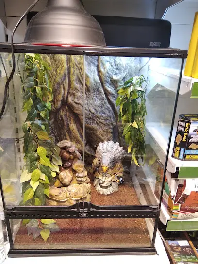 Зоомаркет MasterZoo