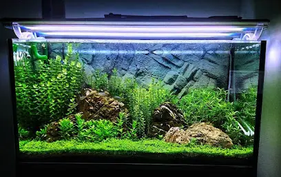 Інтернет-магазин "Природний Акваріум"