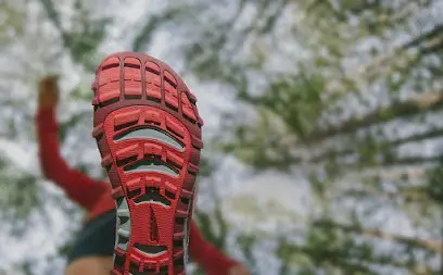 ALTRA - Официальный дистрибьютор в Украине.