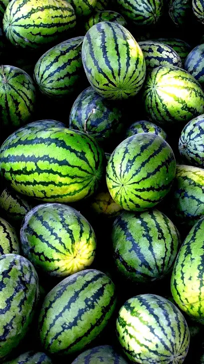 Школа-інтернат