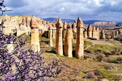 Туристична Агенція &laquo;Квитки у Літо&raquo;