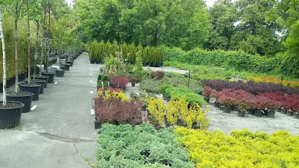 Садовий Центр GREENSPOT