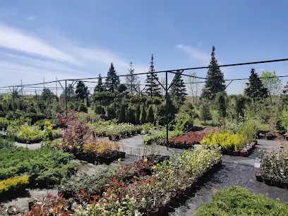 Садовий центр &laquo;KRONA&raquo; Розплідник рослин