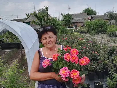 Питомник роз Blumengarden, клематисы , саженцы, луковицы лилий