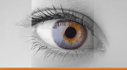 Медіконтур, представник в Україні