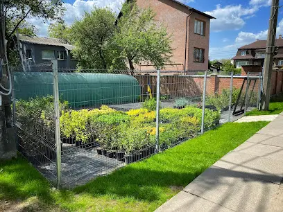 Садовий центр Plantsman