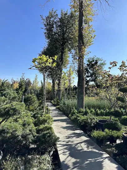 САДОВИЙ ЦЕНТР ДАЛАС