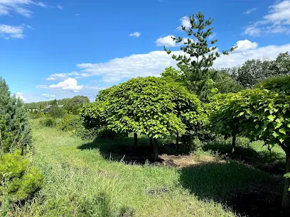 Питомник растений, саженцы