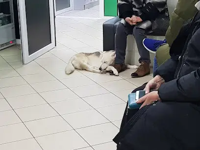 Ветеринарна клініка с.Мила Animal Health West AHW