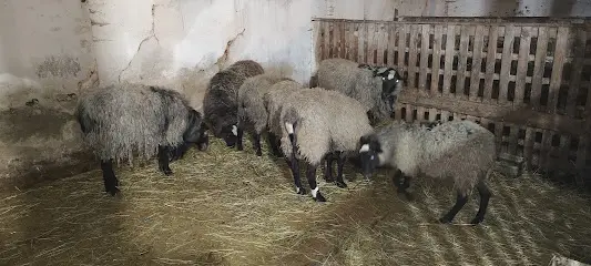 Навчально-дослідний комбінат Державного біотехнологічного університету