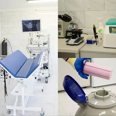 Iнститут Сучасних Ветеринарних Технологiй (Institute of Contemporary Veterinary Technologies)