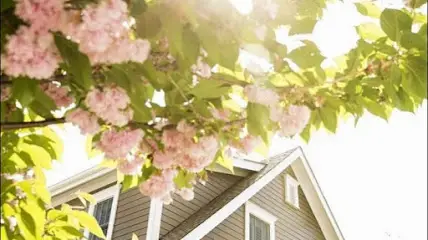 ІСІ-сайдінг