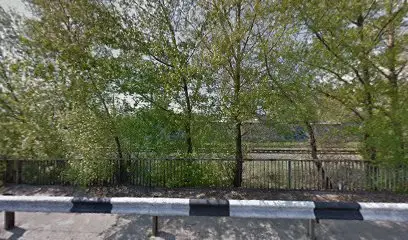 Авторазборка Alfa Romeo