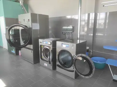 Хімчистка Єнот у Білому