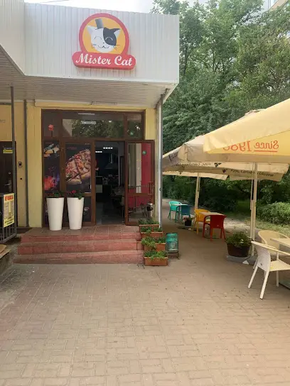 Mister Cat
