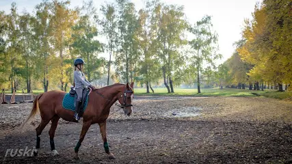"Конярство"