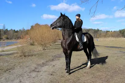 Кінний клуб Мрія