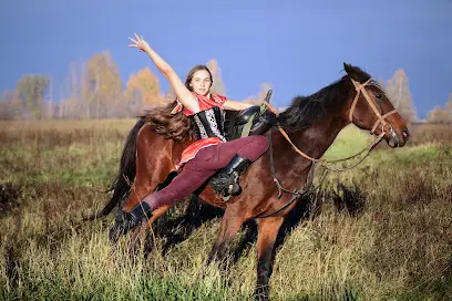 Домашняя конюшня в Феневичах