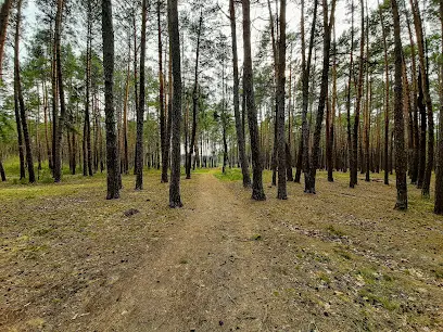 Взуттєва фабрика Ріф-1