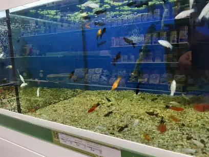 Зоомаркет MasterZoo