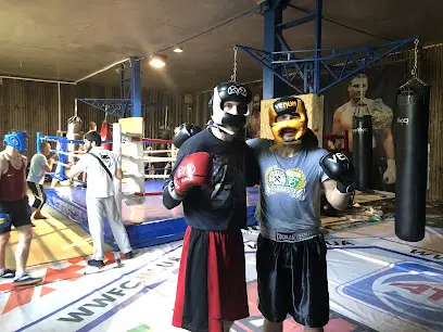 Боксерський клуб Тріумф