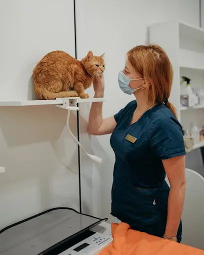 ЗООЛЮКС Вхід 2