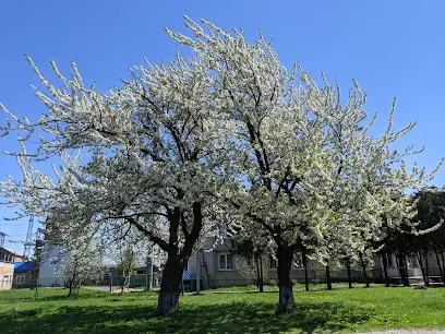 ПрАТ &ldquo;Волиньобленерго&rdquo; Нововолинська філія