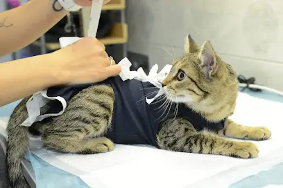 УКРАЇНСЬКА БЛАГОДІЙНА ВЕТЕРИНАРНА КЛІНІКА