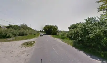 ФОБ "Діброва В.М"-лікування бджолами