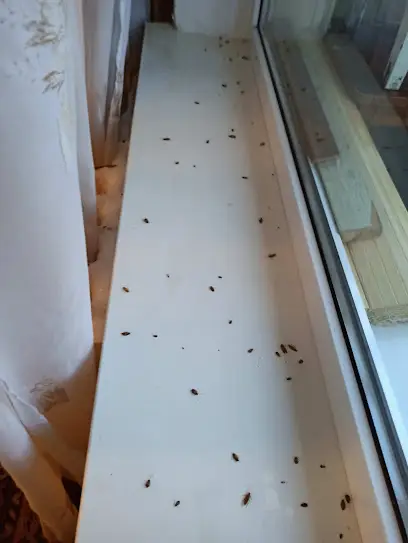 Dezbat-уничтожение насекомых вредителей с гарантией. СЭС.