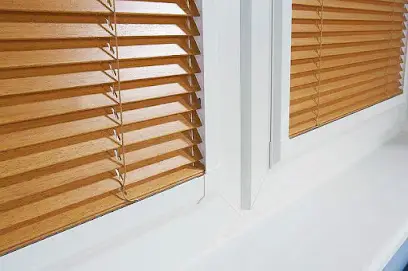 Жалюзи и тканевые ролеты на окна в г. Киев. Svit Zaluzi.