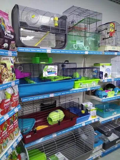 Зообонус (в підземному переході)