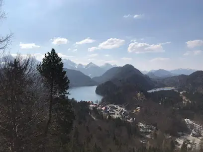 Озонирование квартир Киев, удаление плесени, дезодорация, демеркуризация.