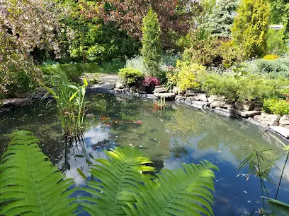 Сирецький дендрологічний парк