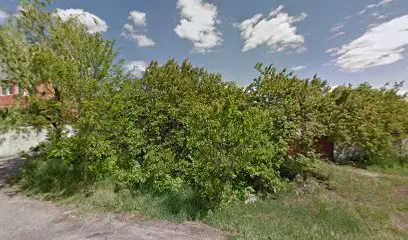 Монастирі Київської єпархії Української Православної Церкви Московського Патріархату