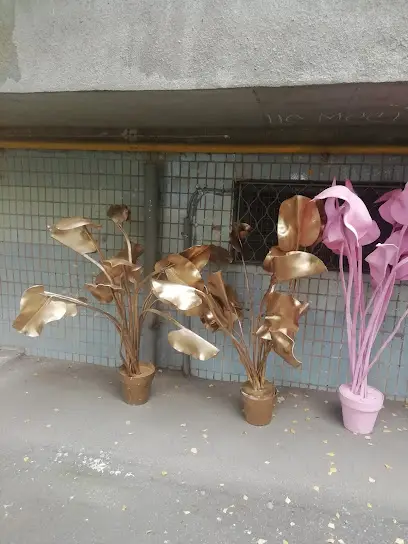 ДИПЛОМАТ СЕРВИС ООО