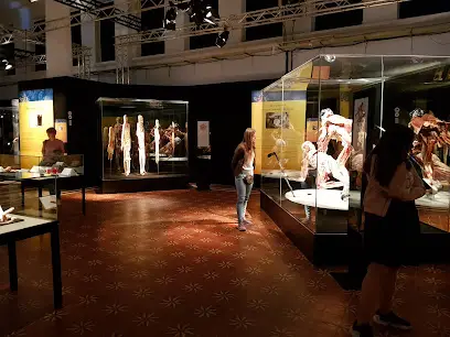 Експоцентр України