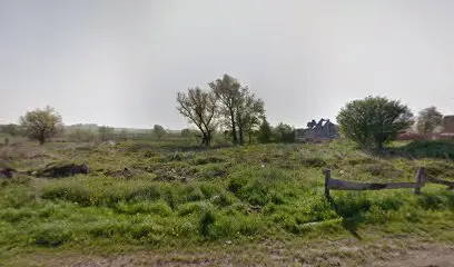 Translation Services. Oksana Savchuk-Tsarynska