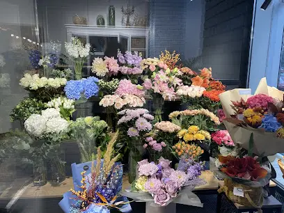 FloRoom на Леси