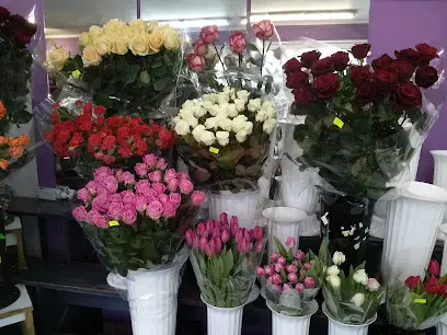 Квіти цілодобово-Sunflowers 25/8