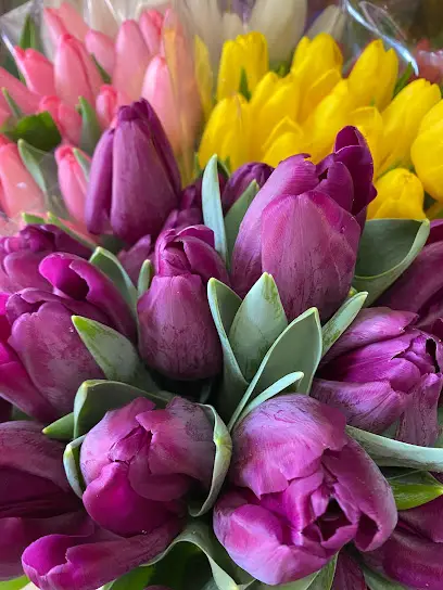 Квіти &laquo;Troya_Flowers&raquo;