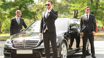 Охоронна агенція "АЛЬТАЇР БЕЗПЕКА" ("ALTAIR SECURITY")