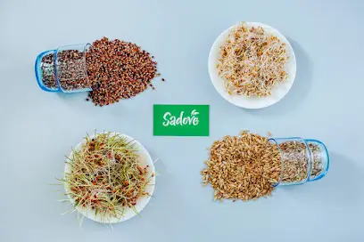 Насіння, Зерна, Мікрозелень EasyGreen проростки