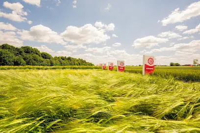 Limagrain Ukraine (LG Seeds)