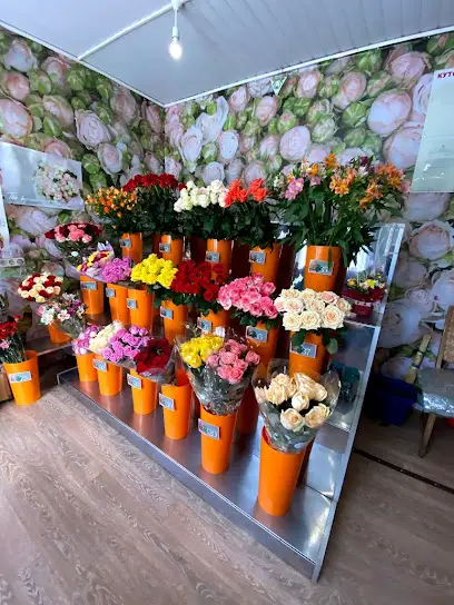 Квіти Flowers