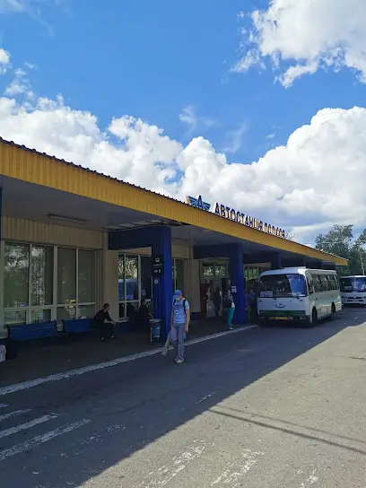 Автовокзал "ПОЛЕСЬЕ"