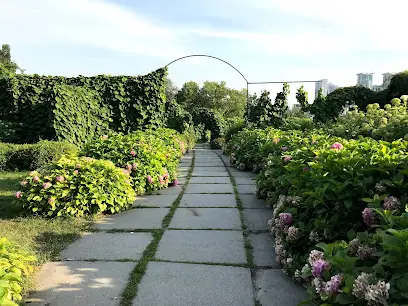 Рослини, що в'ються